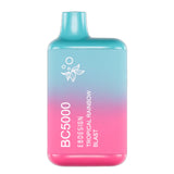 BC5000 Disposable Vape by EB Design